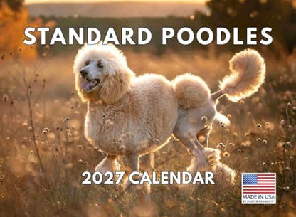 Standard Poodle Calendar 2027 Monthly Wall Calender 12 Month