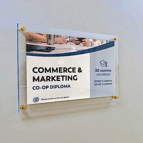 Azar Displays 105512-GLD Acrylic Floating Double Panel Wall Frame,9" x 12" Graphic Size, Overall Frame Size: 13" x 16", Gold