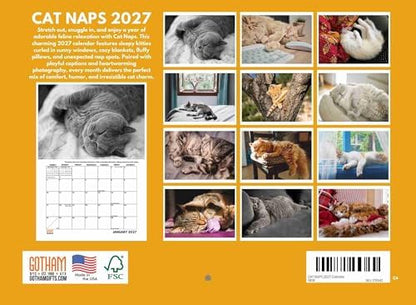 Cat Naps Calendar 2027 Monthly Wall Calender 12 Month