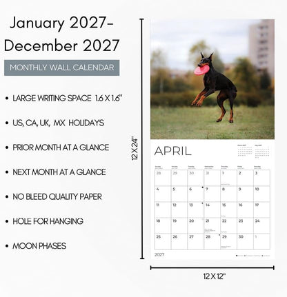 Doberman Pinschers 2027 Wall Calendar, 12 x 24 Hanging Pacific Waters Press