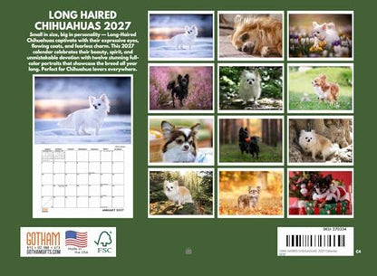 Long Haired Chihuahua Calendar 2027 Monthly Wall Calender 12 Month