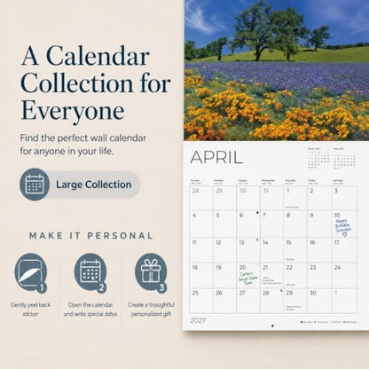 Doberman Pinschers 2027 Wall Calendar, 12 x 24 Hanging Pacific Waters Press