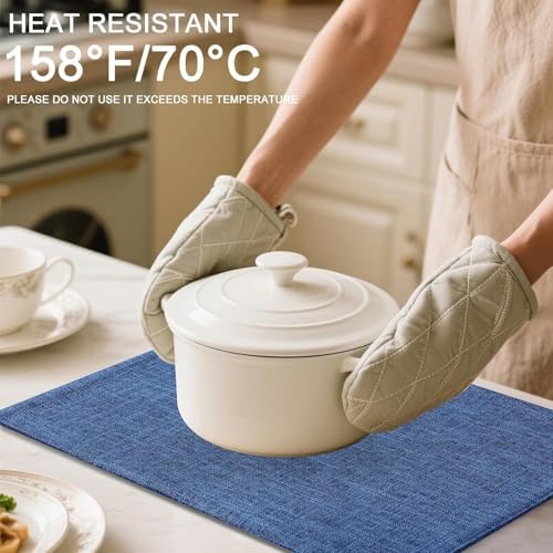 Homaxy Cloths Placemats for Dining Table Set of 12, 13" x 19", Blue