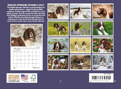 English Springer Spaniel Calendar 2027 Monthly Wall Calender 12 Month