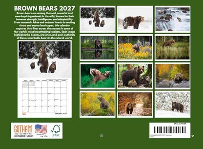 Brown Bear Calendar 2027 Bears Monthly Wall Calender 12 Month