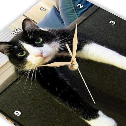 3dRose dpp_23450_3 Black and White Cat with Nothing To-Do Wall Clock, 15 by 15-Inch