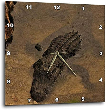 3dRose Wall Clock Silent - 10 inch - Alligator Chilling in the Warm FL Water - Repiles