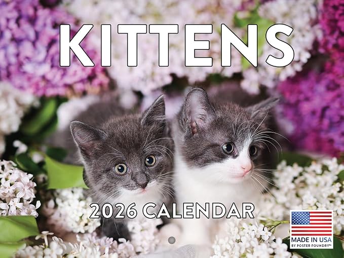 Kitten Calendar 2026 Cat Kitty Gifts Monthly Wall Calender 12 Month | American Made In The USA