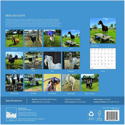 Rescue Goats 2027 Wall Calendar, 12 x 24 Hanging Pacific Waters Press