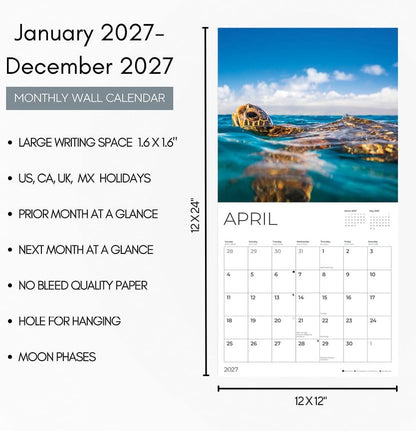 Sea Turtles 2027 Wall Calendar, 12 x 24 Hanging Pacific Waters Press