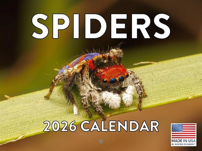 Spider Calendar 2026 Spiders Monthly Wall Calender 12 Month | American Made In The USA