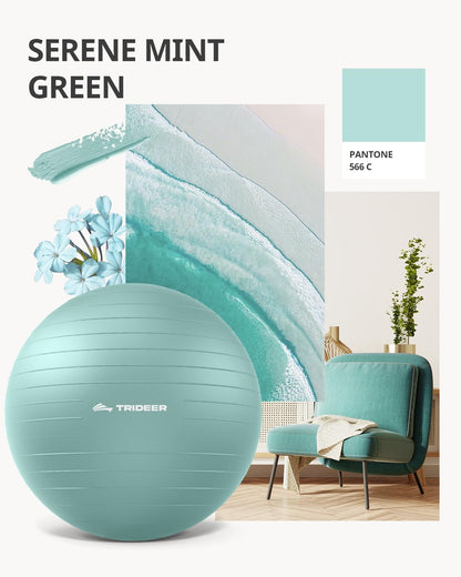 Trideer Yoga Ball – Anti-Burst Exercise Ball for Pregnancy, Office, Birthing, Stretching & Core Workout – Home Gym & Therapy