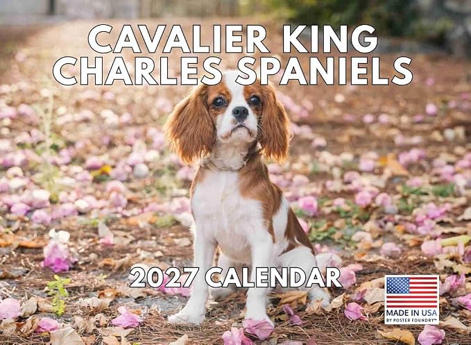 Cavalier King Charles Calendar 2027 Spaniel Monthly Wall Calender 12 Month