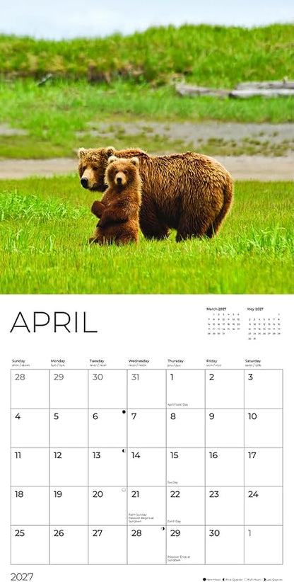 Baby Animals & Their Mother 2027 Wall Calendar, 12 x 24 Hanging Pacific Waters Press