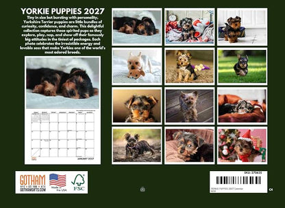 Yorkie Puppy Calendar 2027 Yorkshire Terrier Monthly Wall Calender 12 Month