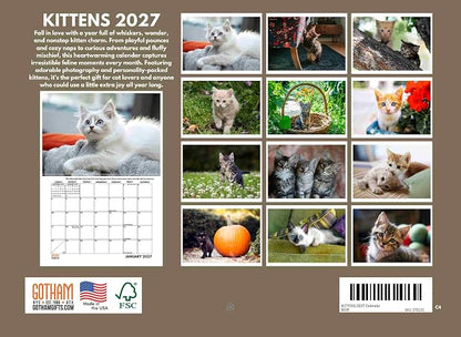 Kitten Calendar 2027 Cat Kitty Gifts Monthly Wall Calender 12 Month
