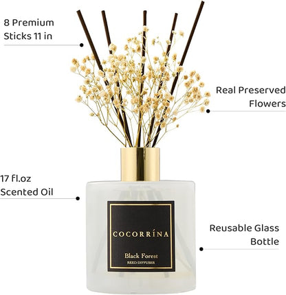 COCORRÍNA Reed Diffuser - Black Forest 17 Fl.oz Reed Diffuser with 8 Sticks Scented Diffuser with Preserved Flowers for Bathroom Home Decor