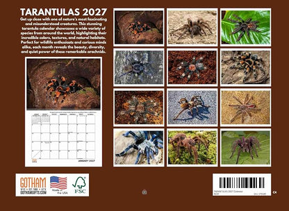 Tarantula Calendar 2027 Spider Monthly Wall Calender 12 Month