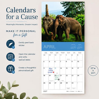 Rescue Goats 2027 Wall Calendar, 12 x 24 Hanging Pacific Waters Press