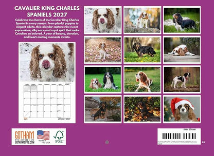 Cavalier King Charles Calendar 2027 Spaniel Monthly Wall Calender 12 Month