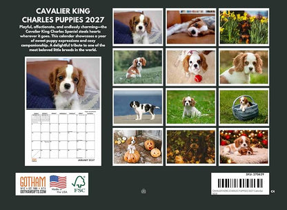 Cavalier King Charles Spaniel Puppy Calendar 2027 Monthly Wall Calender 12 Month