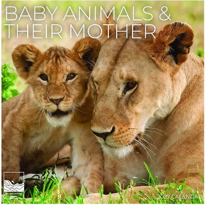 Baby Animals & Their Mother 2027 Wall Calendar, 12 x 24 Hanging Pacific Waters Press