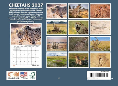 Cheetah Calendar 2027 Monthly Wall 12 Month Kids Safari Theme