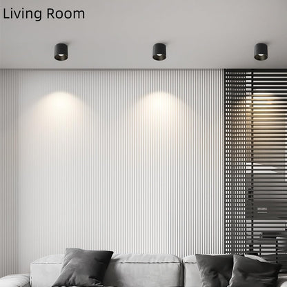 Modern Ceiling Light Fixture, Dimmable Flush Mount 4.72'' Black Cylinder Ceiling Light for Living Room, Hallway, Foyer, Dining Room - 3000K, 15W, CRI 90, 2 Pack