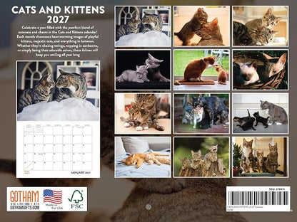 Cats And Kittens Calendar 2027 Monthly Wall Calender 12 Month