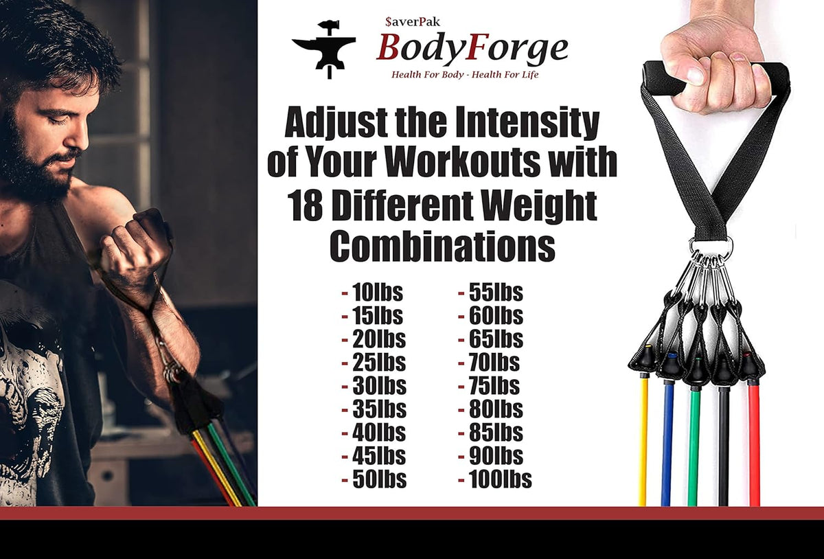 BodyForge Resistance Bands, Exercise Bands，Resistance Bands for Working Out, Work Out Bands with Handles for Men and Women Fitness, Strength Training Home Gym Equipment