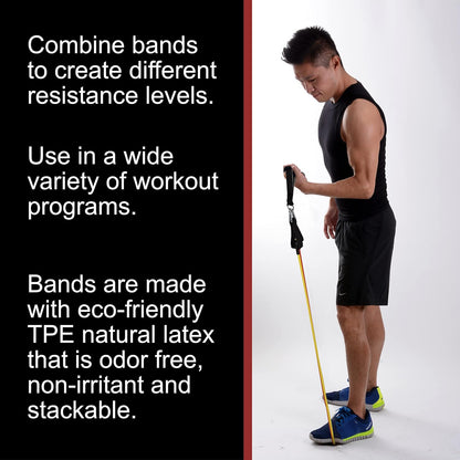 BodyForge Resistance Bands, Exercise Bands，Resistance Bands for Working Out, Work Out Bands with Handles for Men and Women Fitness, Strength Training Home Gym Equipment
